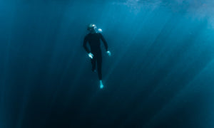 Q&A with Diver Ben Priestley